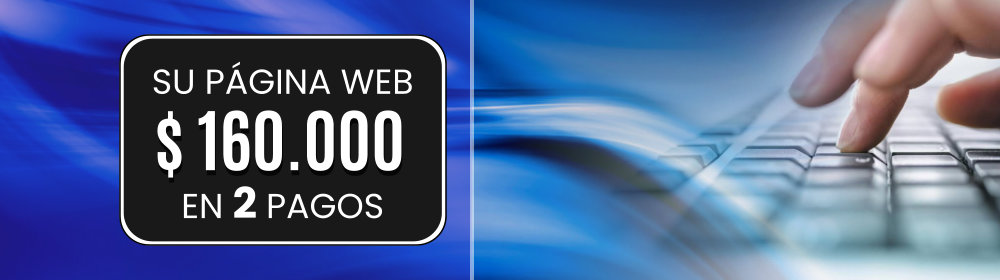 DISEÑO WEB ECONÓMICO