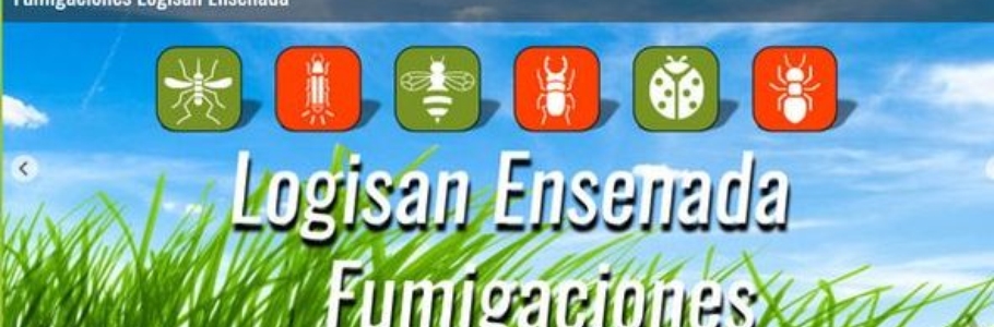 Páginas web exclusivas