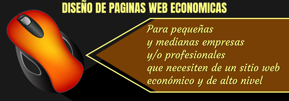 DISEÑO DE PAGINAS WEB ECONOMICAS